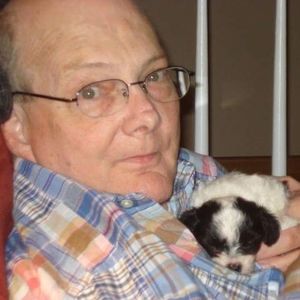 Meet your Posher, Summer